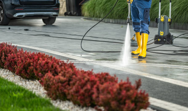 Best Animal Enclosure Cleaning  in Vernon, TX